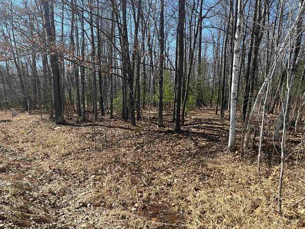 1.24 Acres of Residential Land for Sale in Gladwin, Michigan