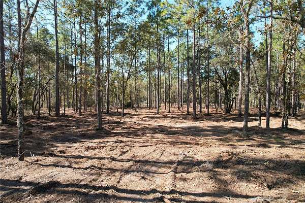 9.57 Acres of Residential Land for Sale in Archer, Florida
