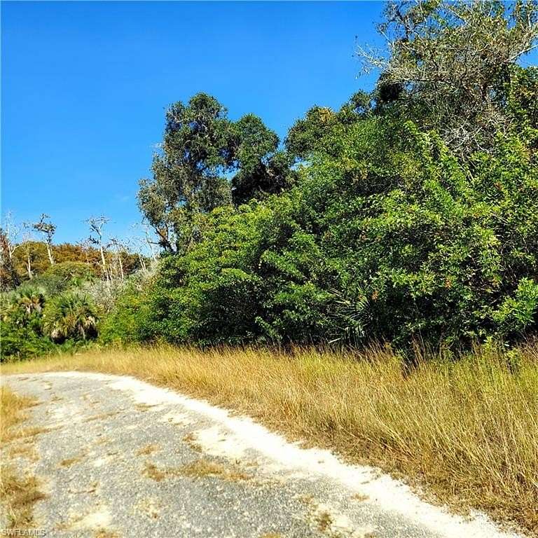 0.29 Acres of Residential Land for Sale in Lehigh Acres, Florida
