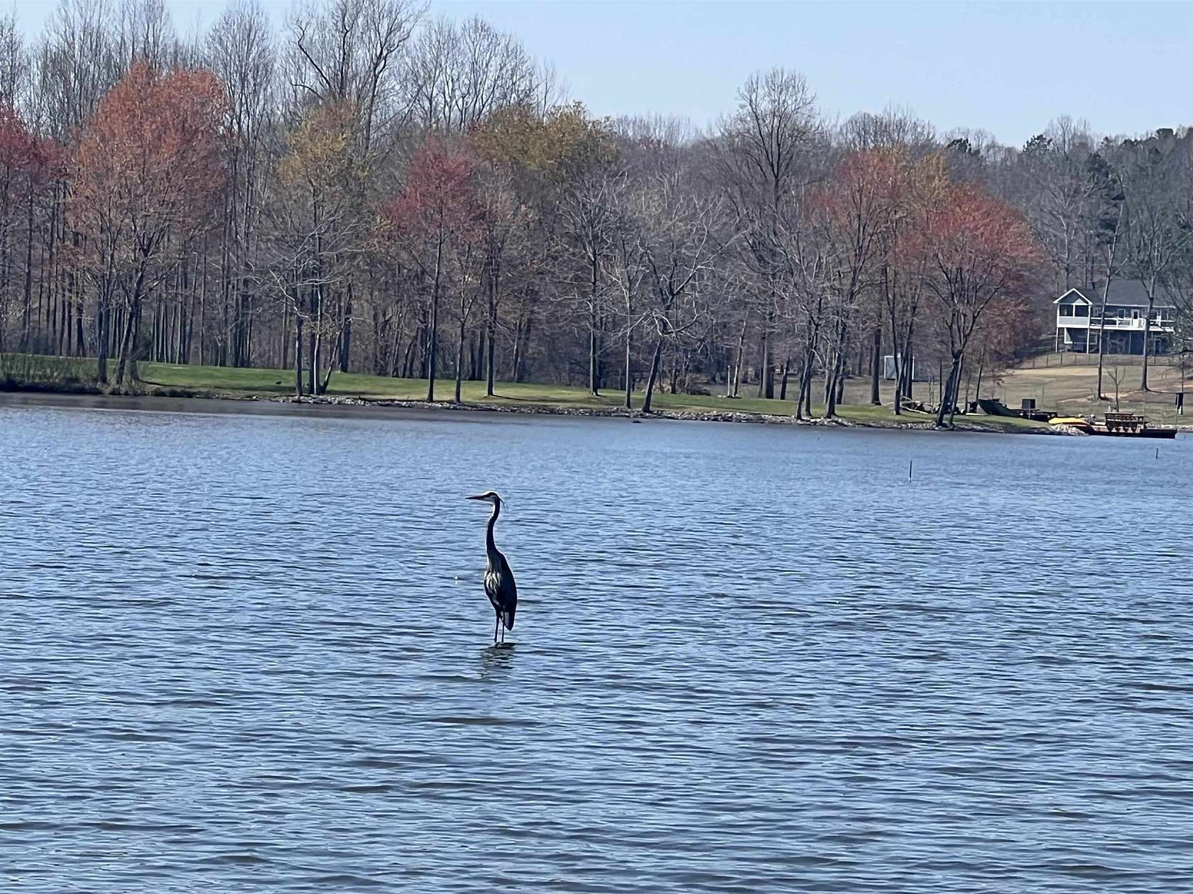 3.1 Acres of Residential Land for Sale in Cedar Grove, Tennessee