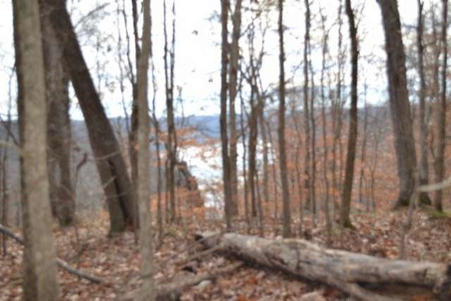 34.2 Acres of Recreational Land for Sale in Burkesville, Kentucky
