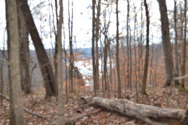 34.2 Acres of Recreational Land for Sale in Burkesville, Kentucky