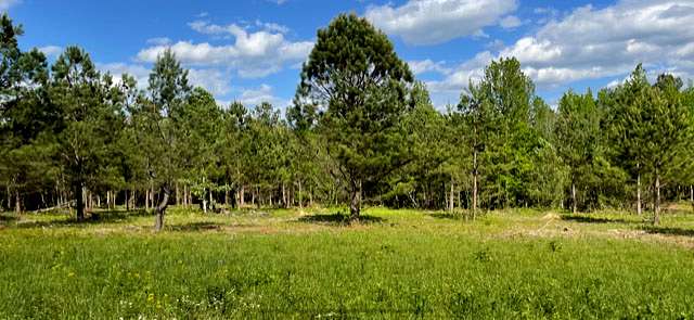 Mixed-Use Land for Sale in Rossville, Georgia
