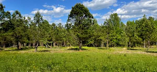 Mixed-Use Land for Sale in Rossville, Georgia