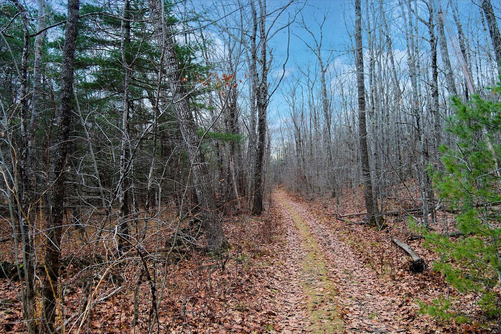 36.8 Acres of Recreational Land for Sale in Thomaston, Maine