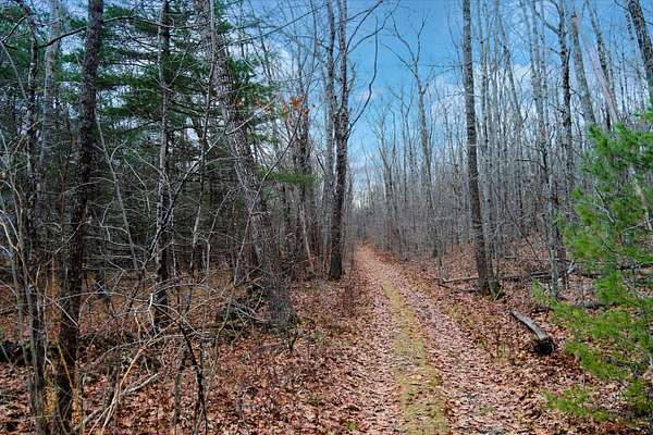 36.8 Acres of Recreational Land for Sale in Thomaston, Maine