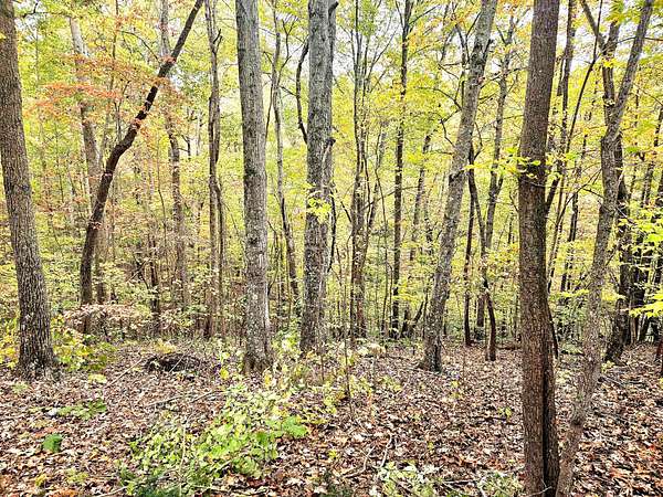 1.13 Acres of Residential Land for Sale in Smithville, Tennessee