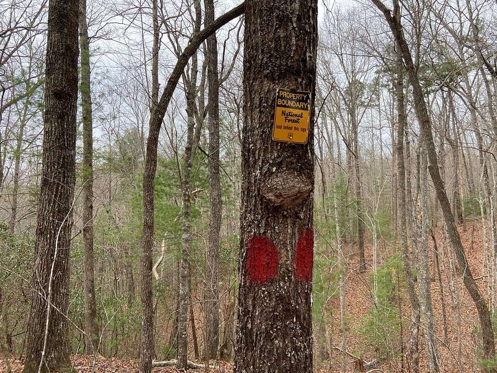 9.1 Acres of Residential Land for Sale in Murphy, North Carolina