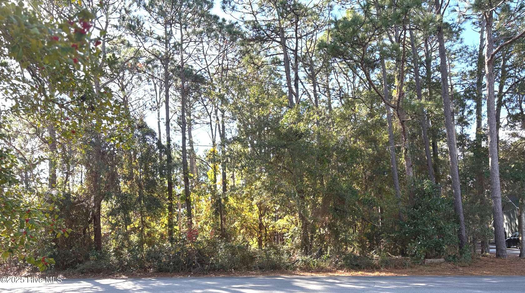 0.49 Acres of Residential Land for Sale in Southport, North Carolina