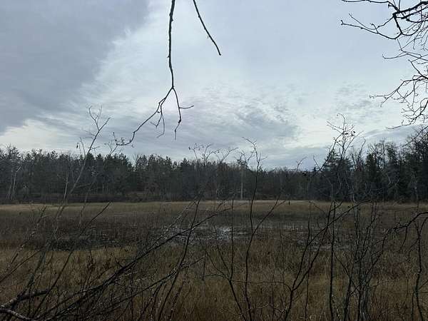 2.36 Acres of Land for Sale in Comins, Michigan