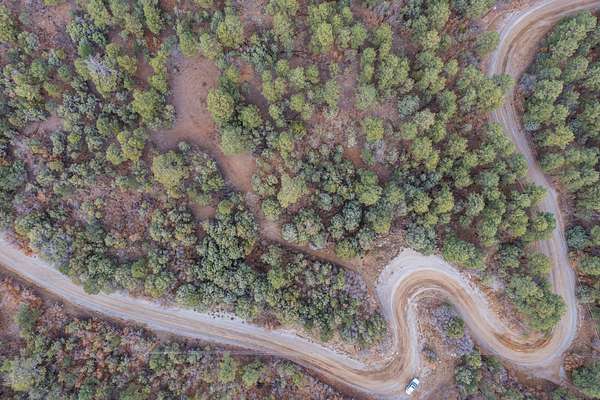 16.8 Acres of Land for Sale in Tijeras, New Mexico