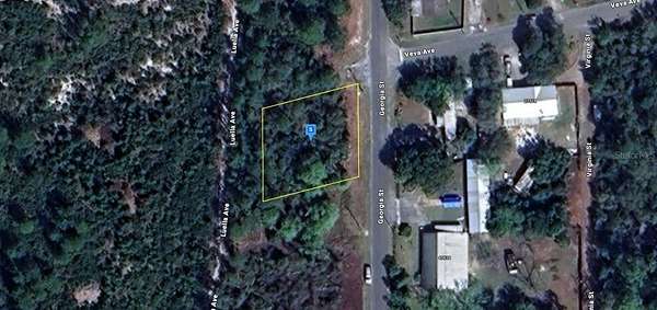 0.24 Acres of Residential Land for Sale in Paisley, Florida