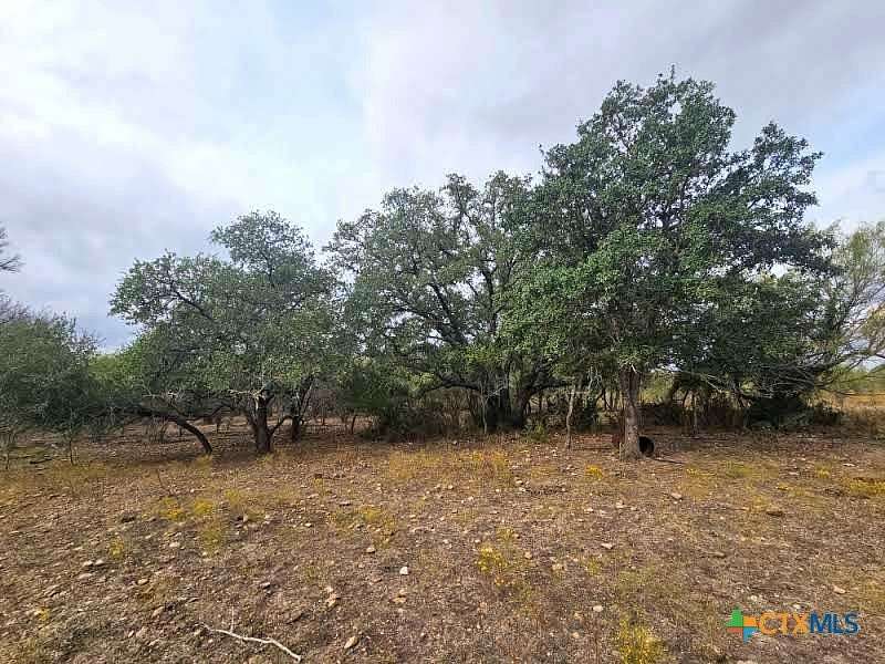 10.2 Acres of Agricultural Land for Sale in Lockhart, Texas