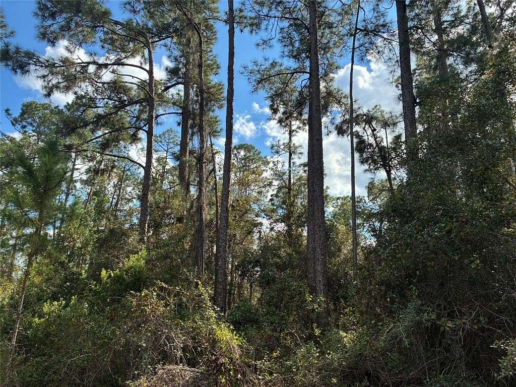 0.5 Acres of Residential Land for Sale in Indian Lake Estates, Florida