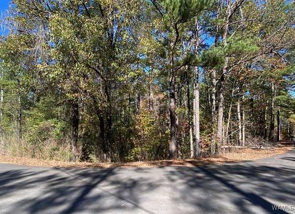1.28 Acres of Land for Sale in Vance, Alabama