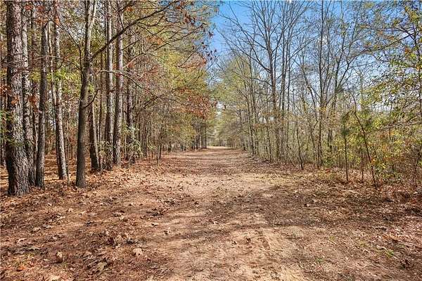 19.2 Acres of Recreational Land for Sale in Covington, Georgia