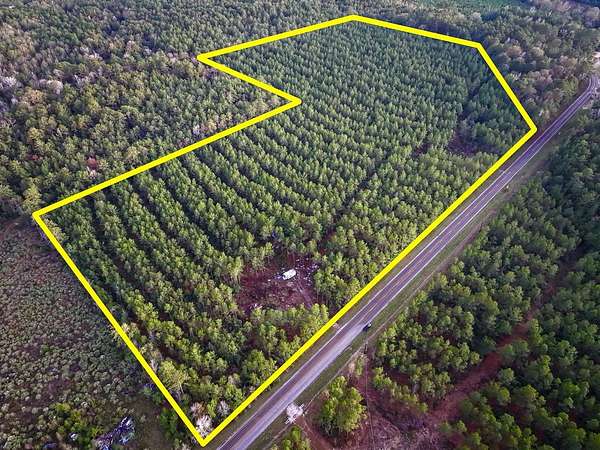 31.5 Acres of Recreational Land for Sale in Newton, Texas