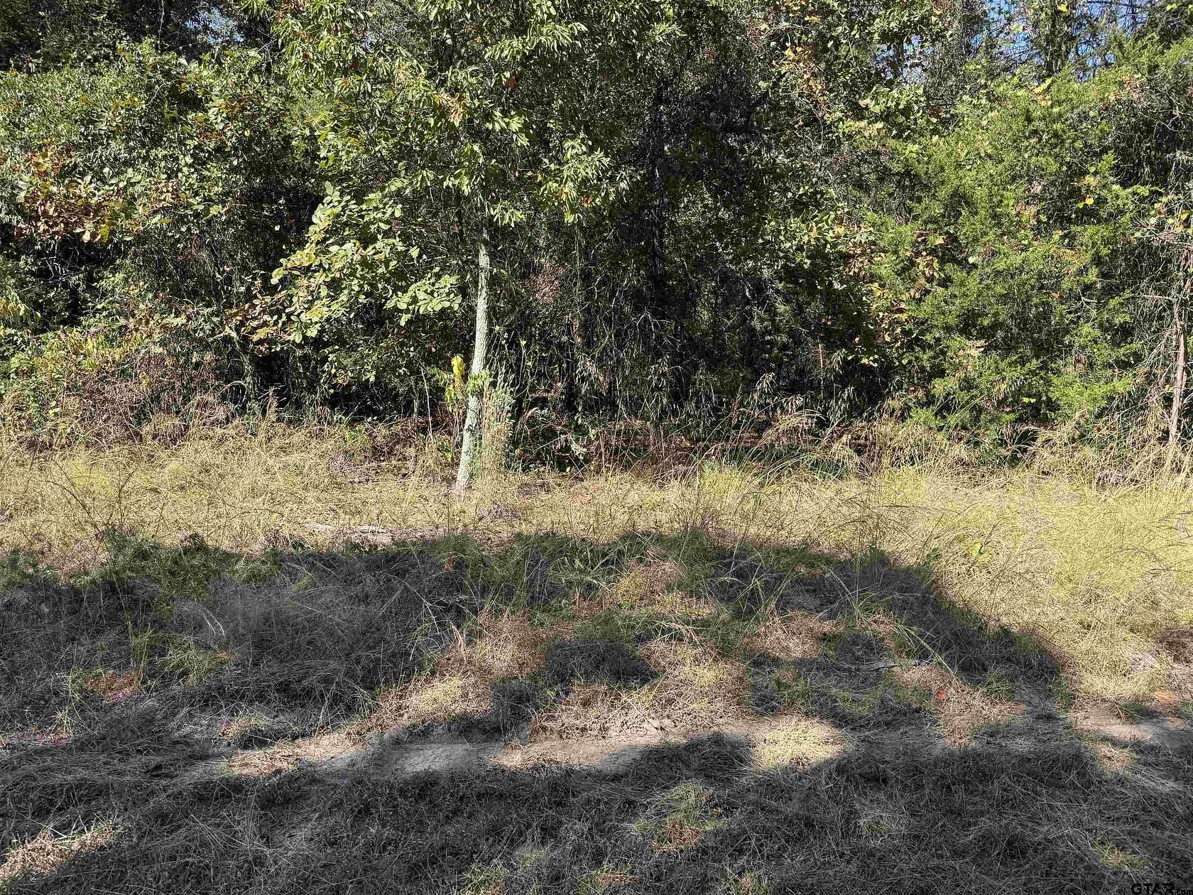 0.39 Acres of Residential Land for Sale in Scroggins, Texas