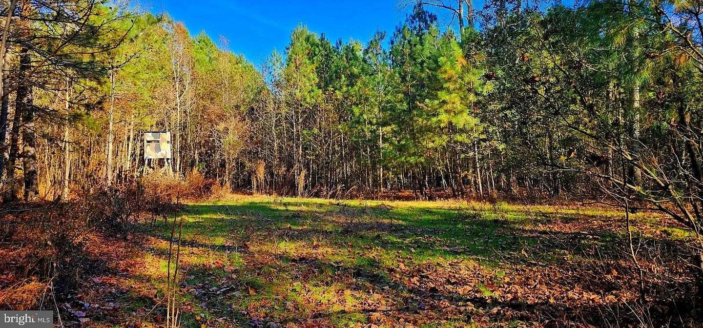 55.5 Acres of Recreational Land & Farm for Sale in Mardela Springs, Maryland