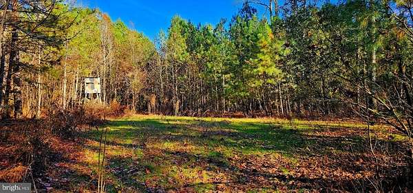 55.5 Acres of Recreational Land & Farm for Sale in Mardela Springs, Maryland