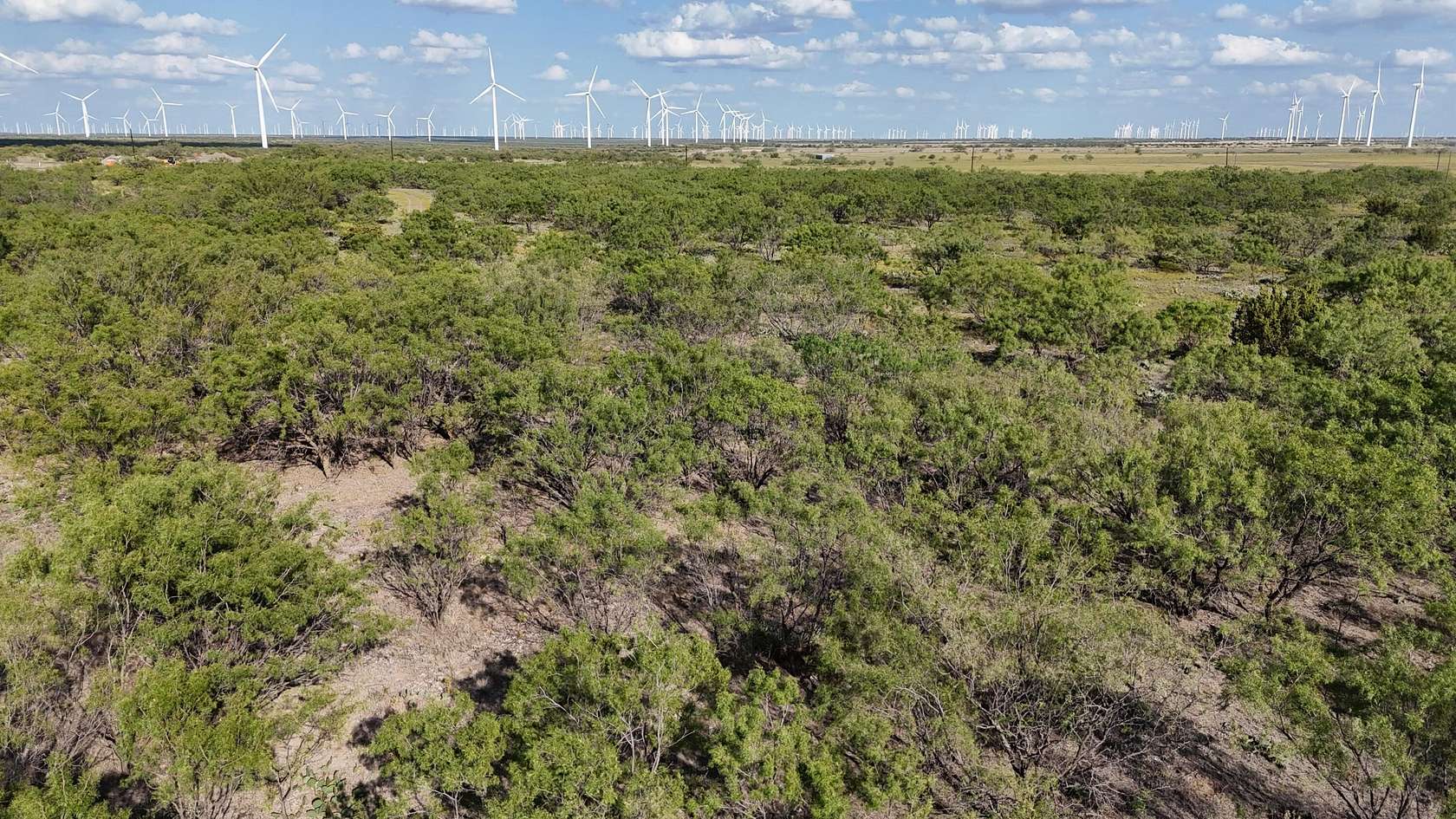 160 Acres of Recreational Land for Sale in Sweetwater, Texas