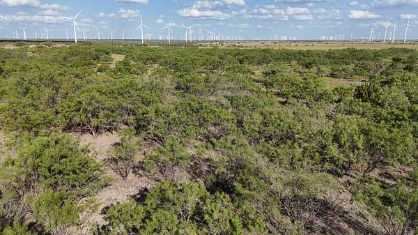 160 Acres of Recreational Land for Sale in Sweetwater, Texas