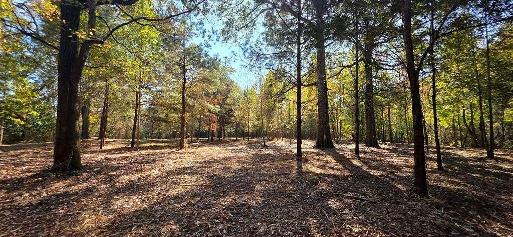 6 Acres of Residential Land for Sale in Cowarts, Alabama