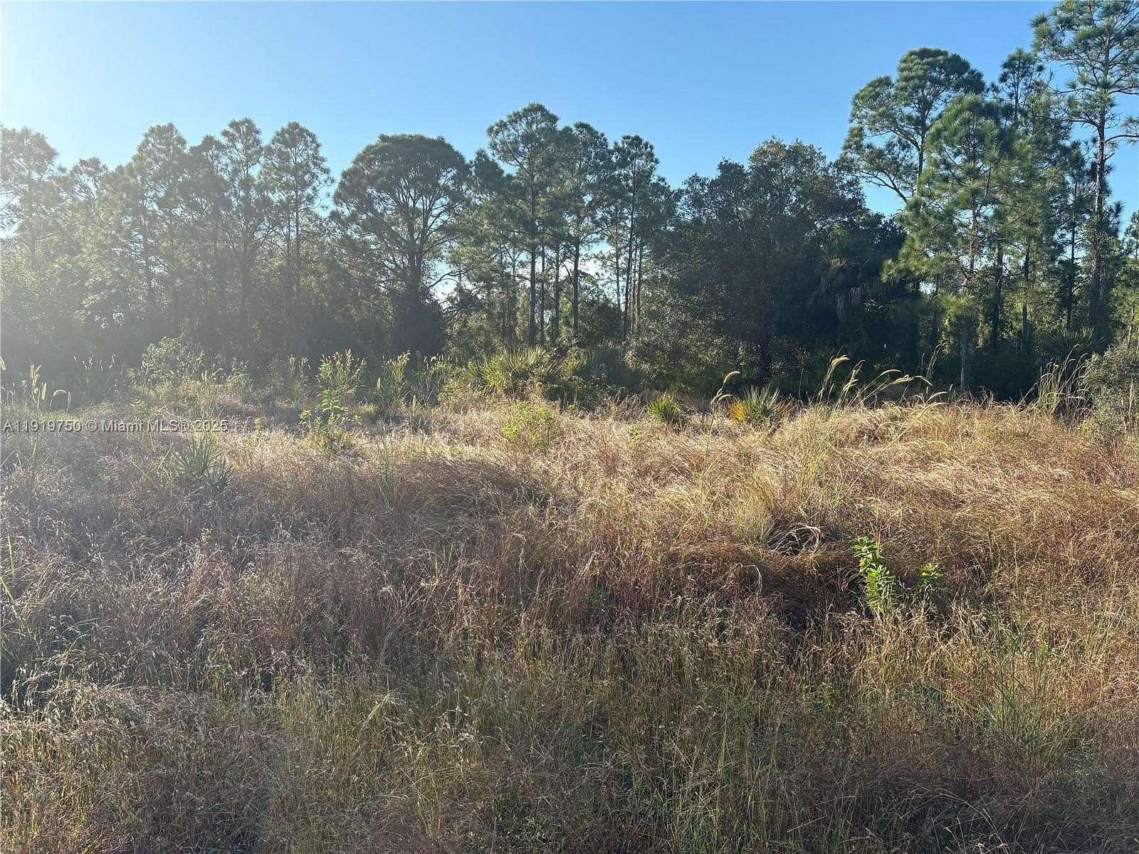 0.5 Acres of Residential Land for Sale in Lehigh Acres, Florida