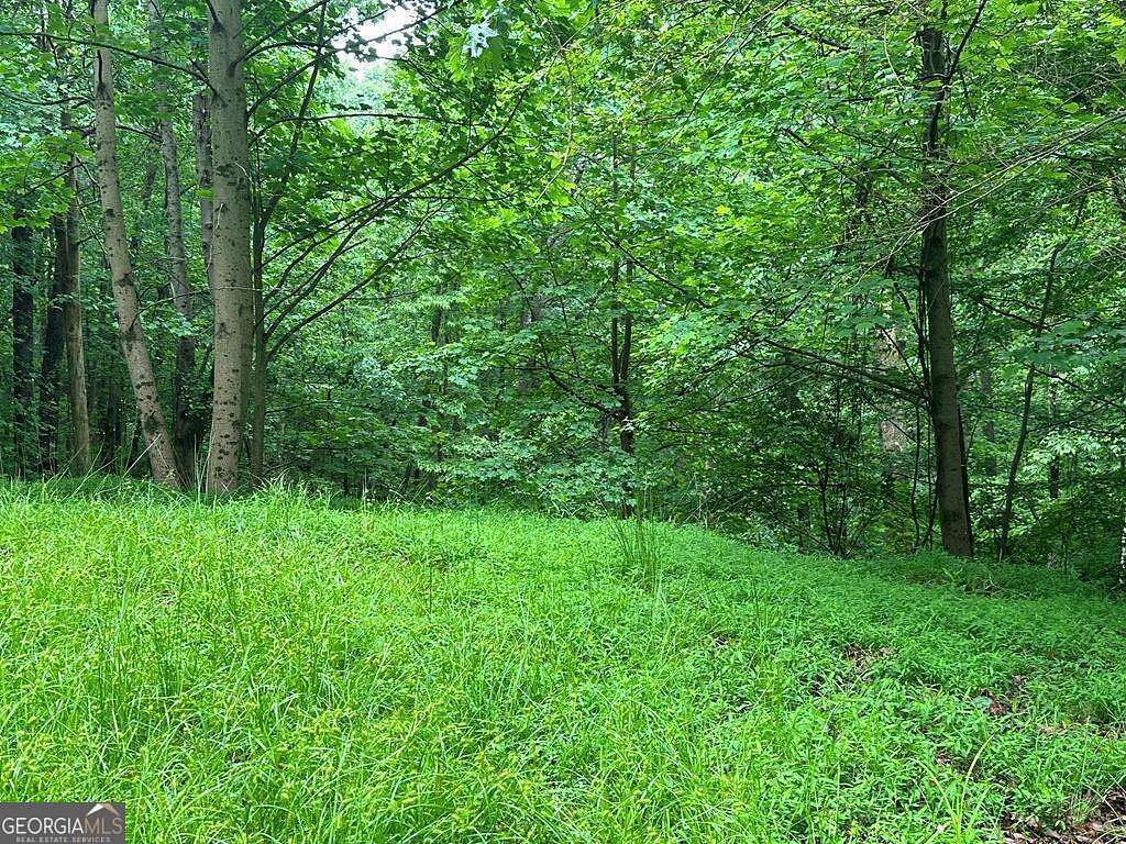 1.32 Acres of Land for Sale in Ellijay, Georgia