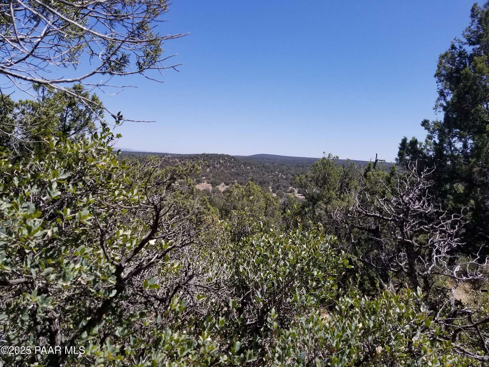 40 Acres of Land for Sale in Ash Fork, Arizona