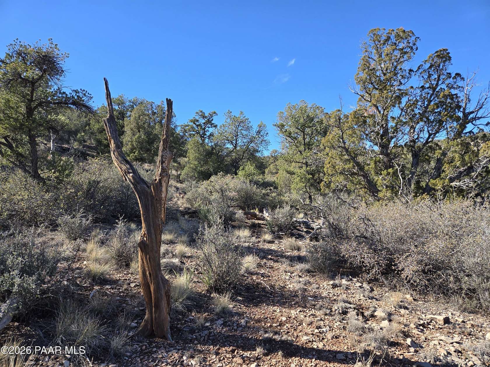 40 Acres of Land for Sale in Ash Fork, Arizona