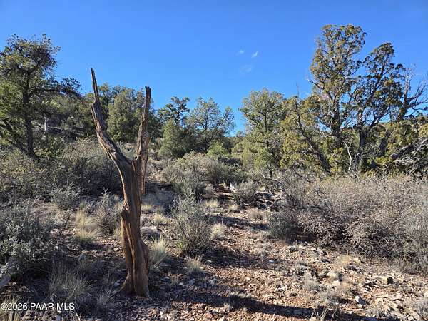 40 Acres of Land for Sale in Ash Fork, Arizona