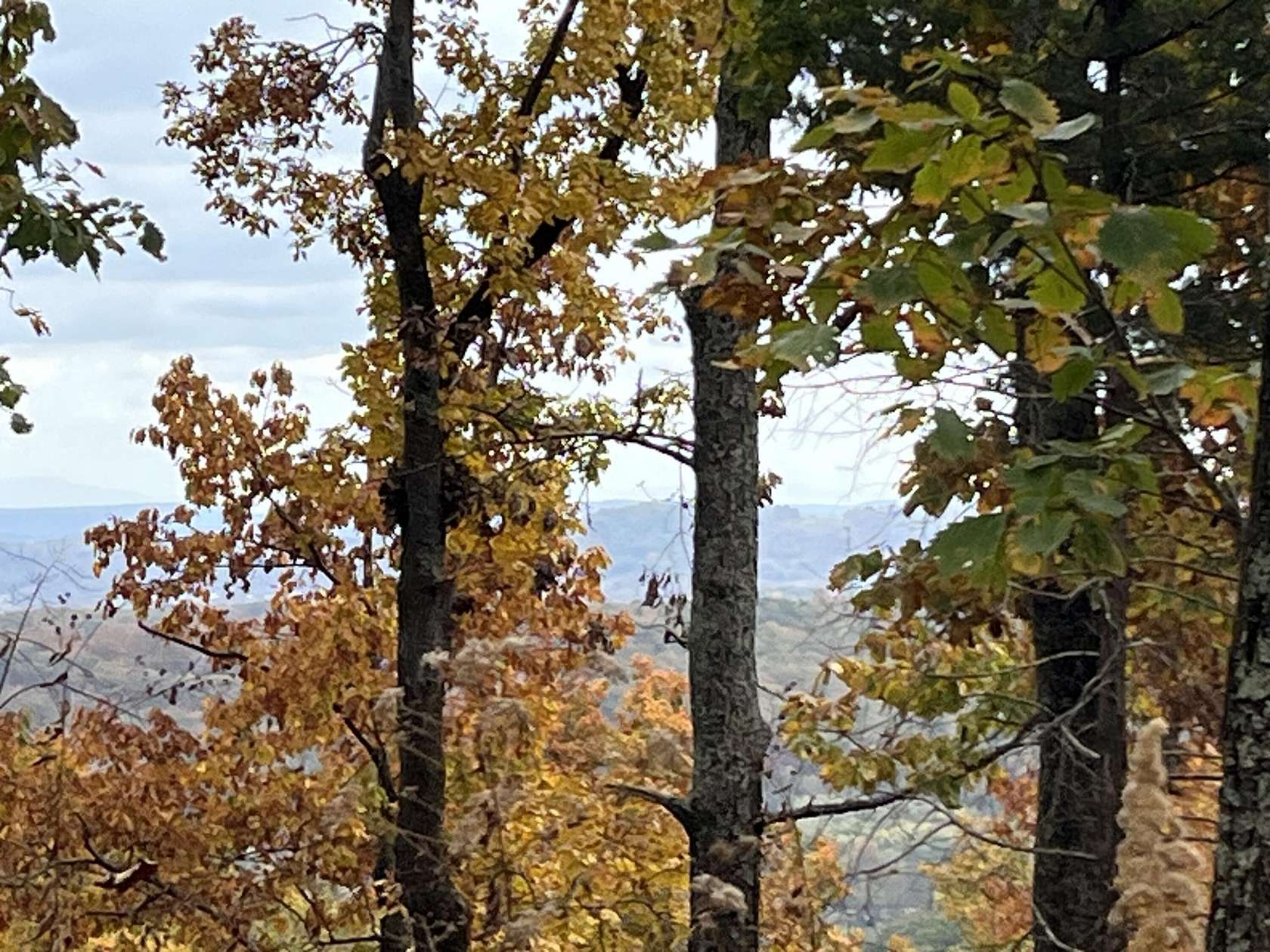 2 Acres of Residential Land for Sale in Hixson, Tennessee