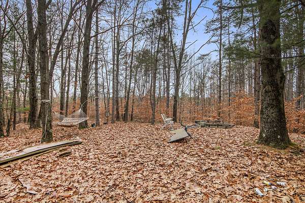 15.3 Acres of Recreational Land for Sale in Bitely, Michigan