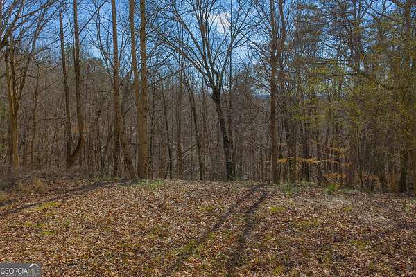 5.6 Acres of Land for Sale in Ellijay, Georgia