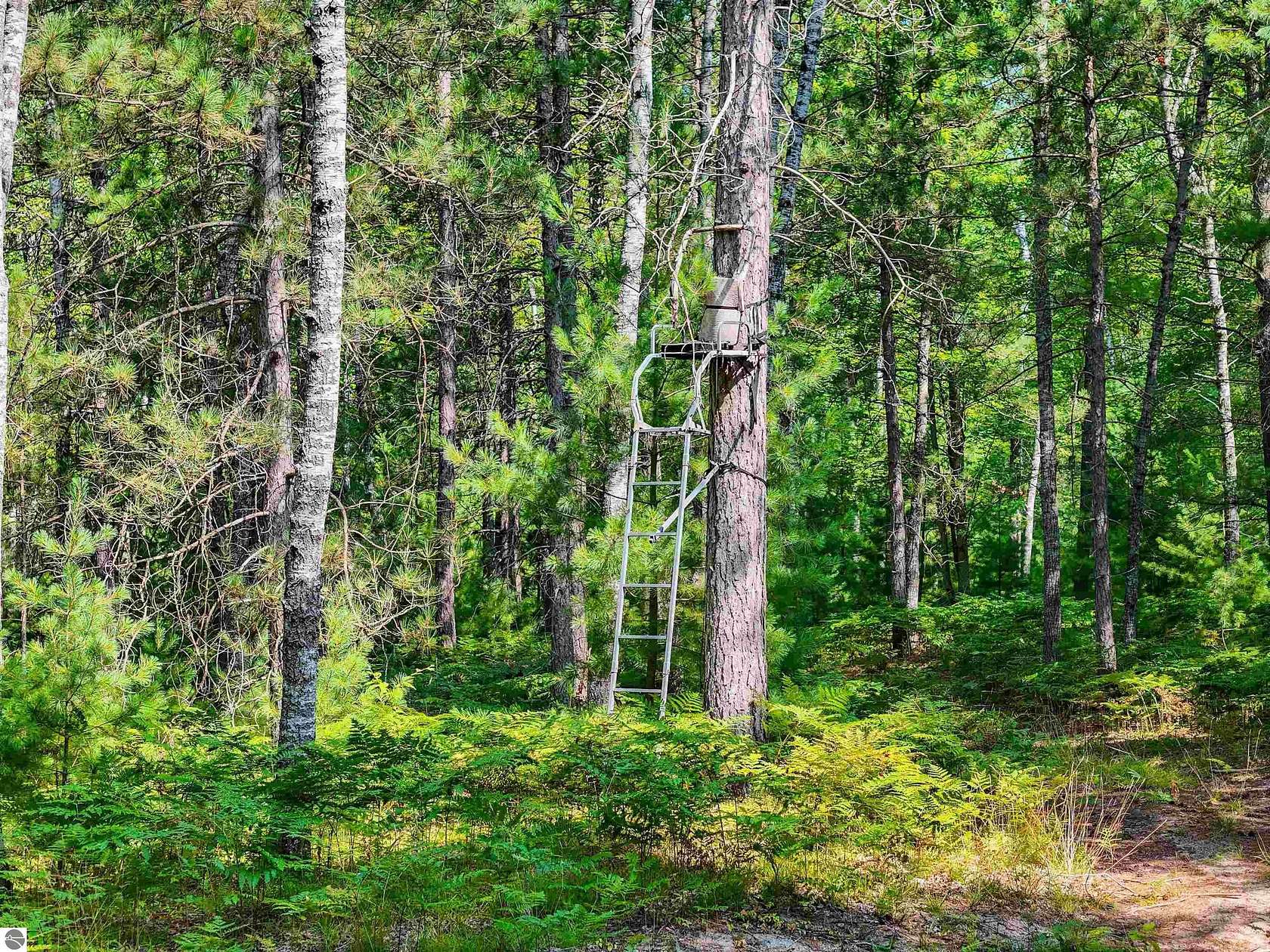50 Acres of Recreational Land for Sale in Manton, Michigan