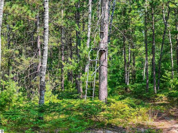 50 Acres of Recreational Land for Sale in Manton, Michigan