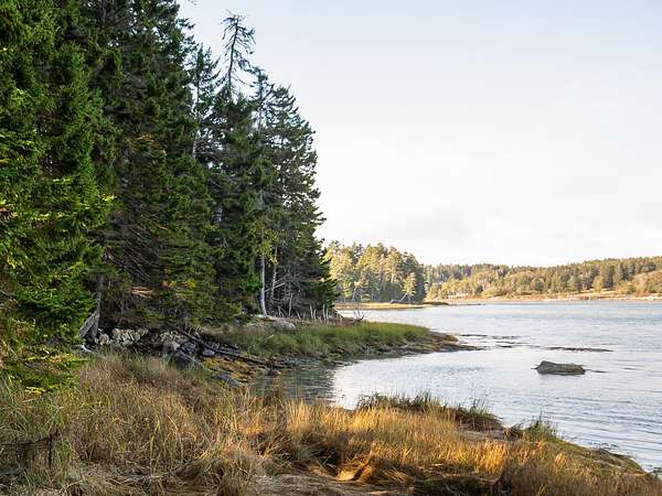 2.3 Acres of Land for Sale in Swans Island, Maine