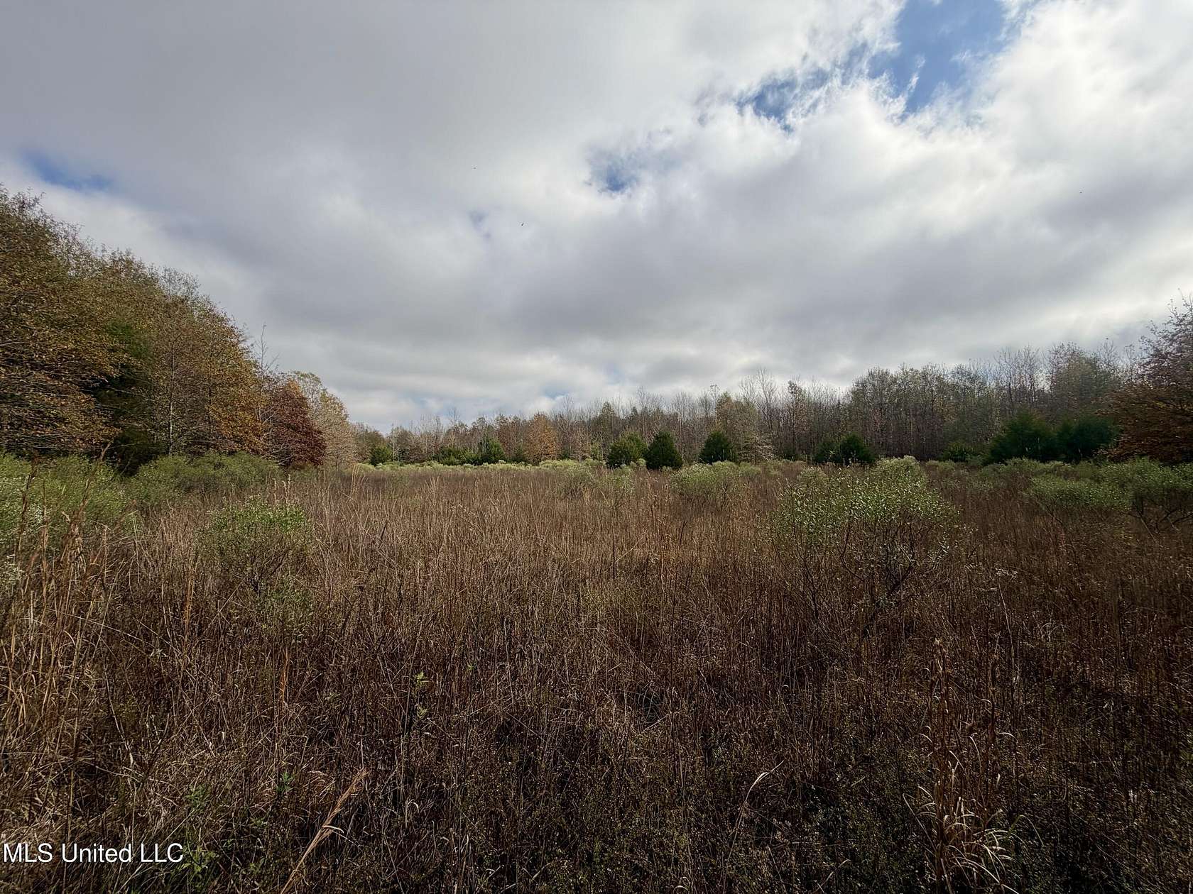 37 Acres of Land for Sale in Charleston, Mississippi