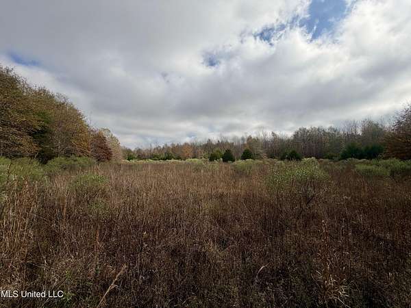 37 Acres of Land for Sale in Charleston, Mississippi