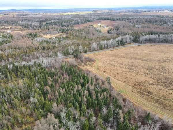 161 Acres of Land for Sale in Caribou, Maine