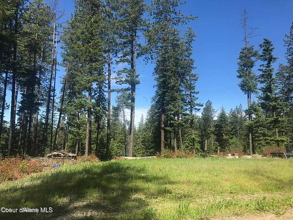 10 Acres of Land for Sale in Athol, Idaho