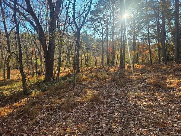 1 Acre of Land for Sale in Franktown, Virginia