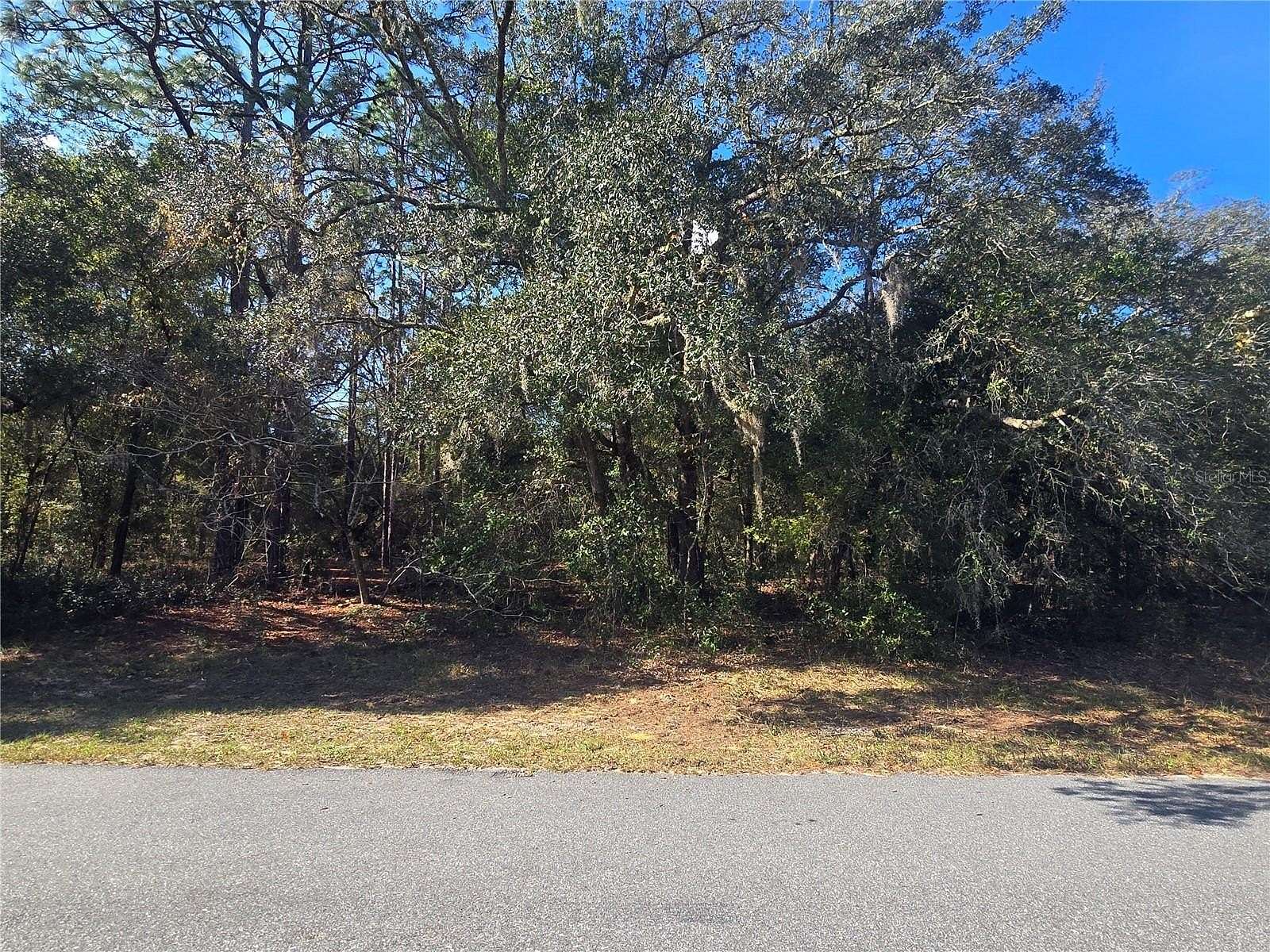 0.23 Acres of Residential Land for Sale in Dunnellon, Florida