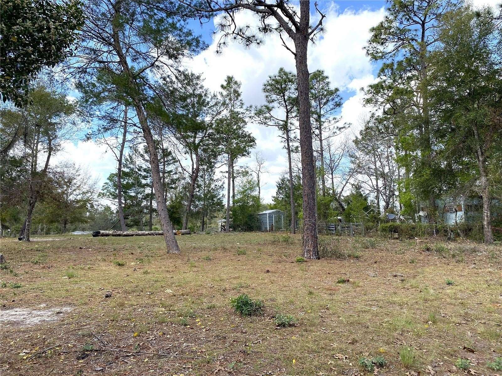0.27 Acres of Residential Land for Sale in Williston, Florida