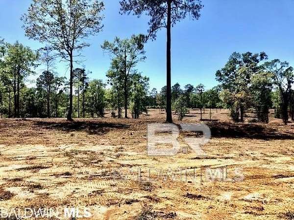 36 Acres of Recreational Land for Sale in Bay Minette, Alabama
