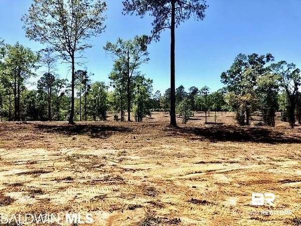 36 Acres of Recreational & Residential Land for Sale in Bay Minette, Alabama