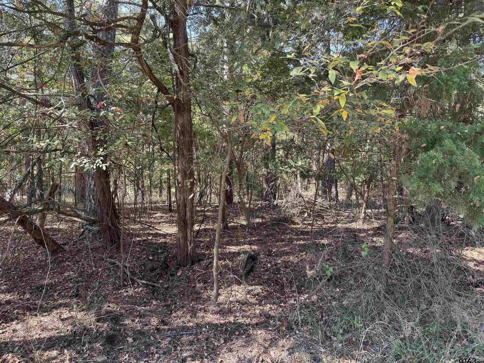0.22 Acres of Residential Land for Sale in Scroggins, Texas