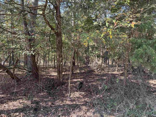 0.22 Acres of Residential Land for Sale in Scroggins, Texas