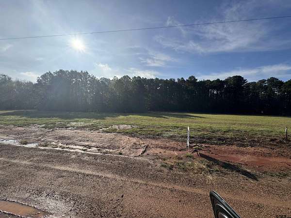 0.34 Acres of Residential Land for Sale in Mount Vernon, Texas